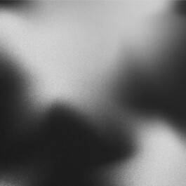 dezentrale⚪︎⚪︎⚪︎